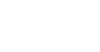 Light Logo